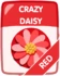 Red Crazy Daisy