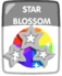 Star Blossom