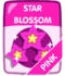 Pink Star Blossom