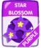 Purple Star Blossom