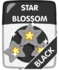 Black Star Blossom