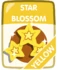 Yellow Star Blossom