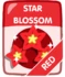 Red Star Blossom