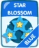 Blue Star Blossom