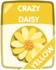 Yellow Crazy Daisy